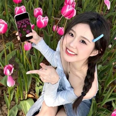 鸟儿们的奇幻冒险